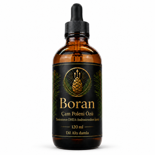 Boran Çam Poleni Özü – Doğal Testosteron ve DHEA Desteği