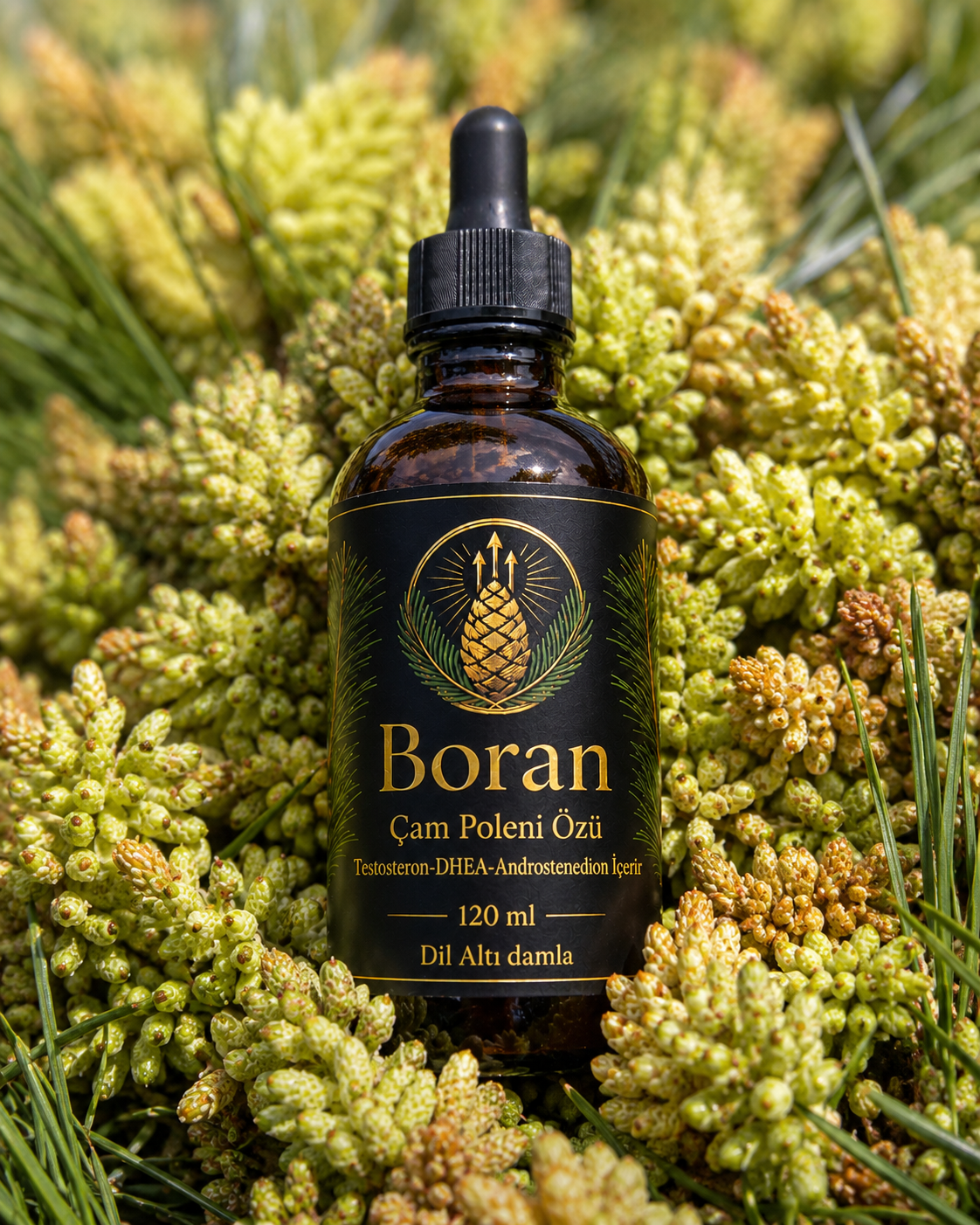 Boran Çam Poleni Özü